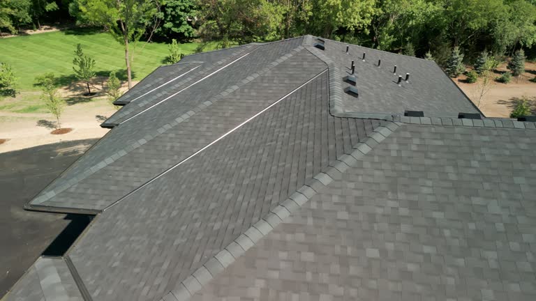 Best Solar Panel Roofing Installation  in La Villa, TX