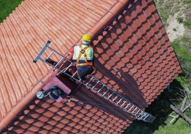 Best Asphalt Shingle Roofing  in La Villa, TX
