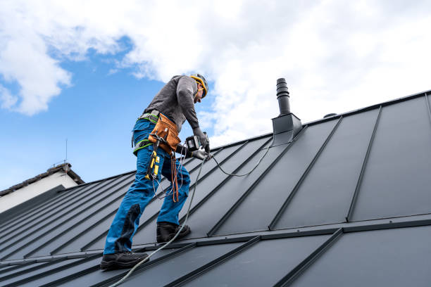 Best Rubber Roofing (EPDM, TPO)  in La Villa, TX